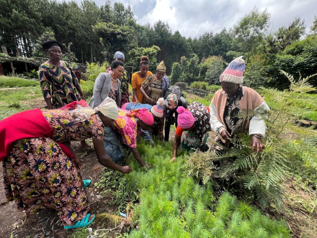 Help us Accelerate Change for Women's Day 2025!
