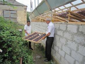 Dried fruit producers in rural Armenia