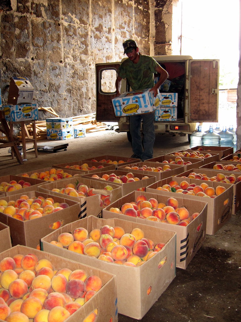 New Income Opportunities for vulnerable Armenians