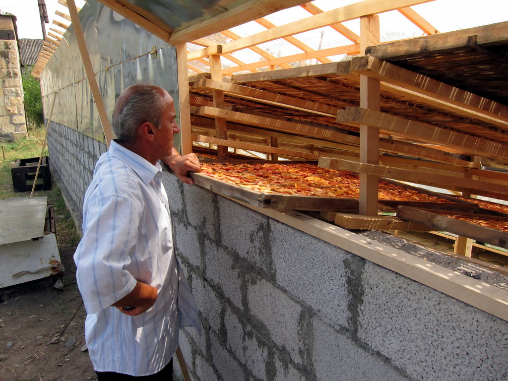 New Income Opportunities for vulnerable Armenians