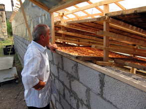 Fruit drying microfranchise
