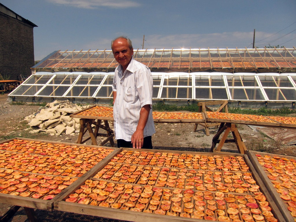 New Income Opportunities for vulnerable Armenians