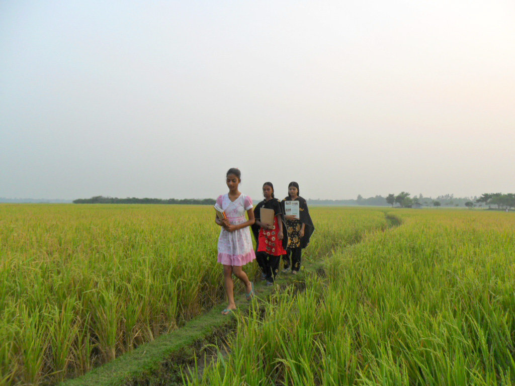 Empower of 500 School Drop-out Girls in Bangladesh