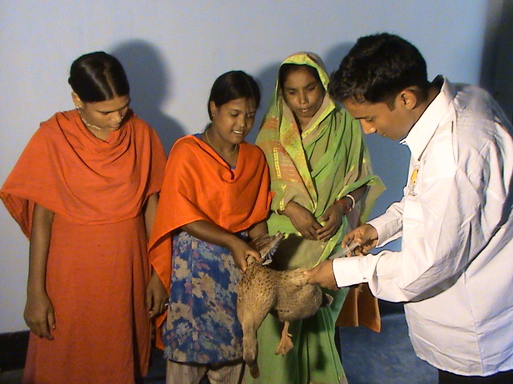 Empower of 500 School Drop-out Girls in Bangladesh