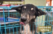 March 25 is Little By Little: Spay/Neuter 400 Dogs
