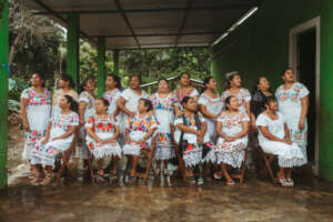 Mariposas del sur