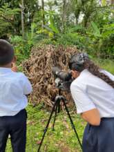 Students birdwatching in schoolyard