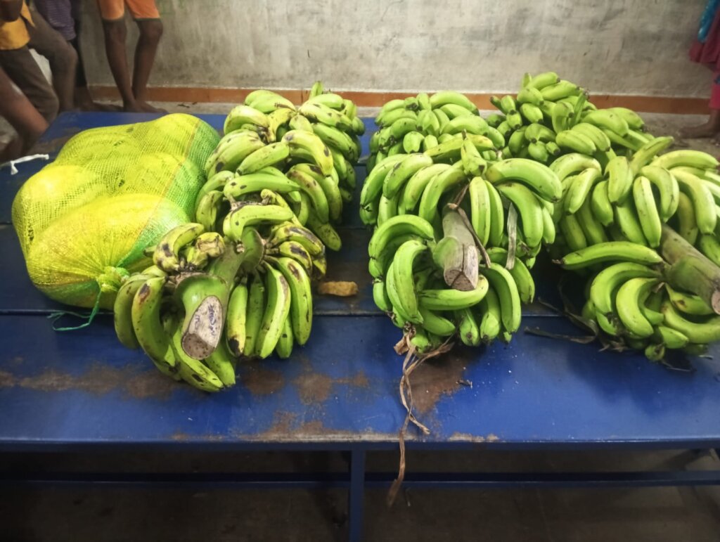 Banana ready to distribute