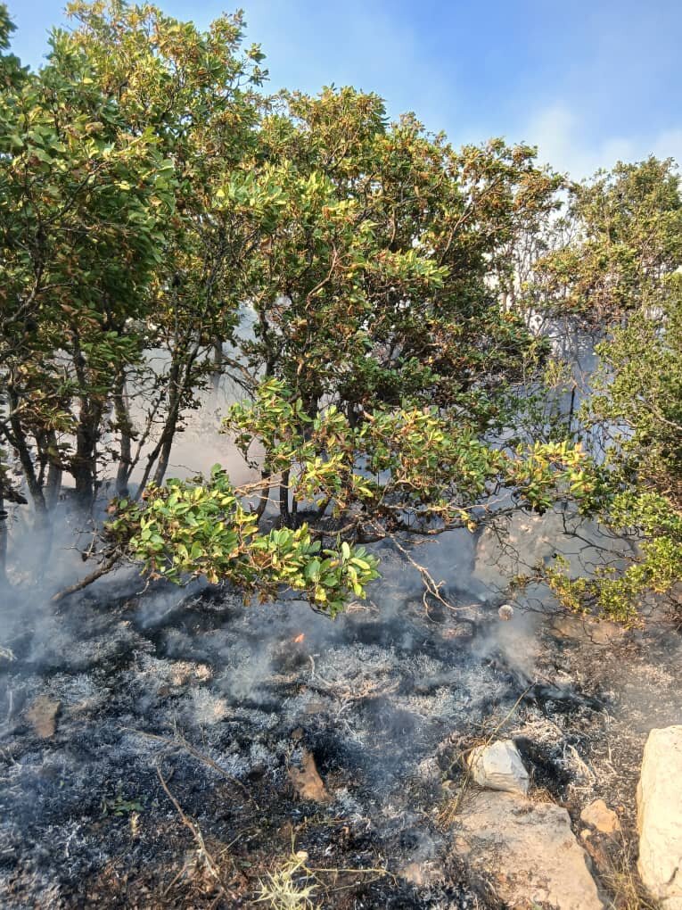 Emergency Relief for Syrians Facing Devastation