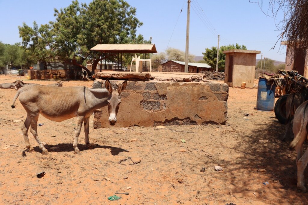 Transforming Lives with Clean Water in Waranqara