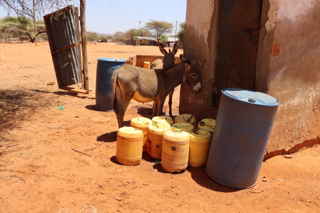 Transforming Lives with Clean Water in Waranqara