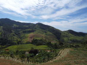landscape restoration - corridors and agroforestry