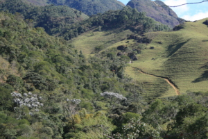 Restoration plot