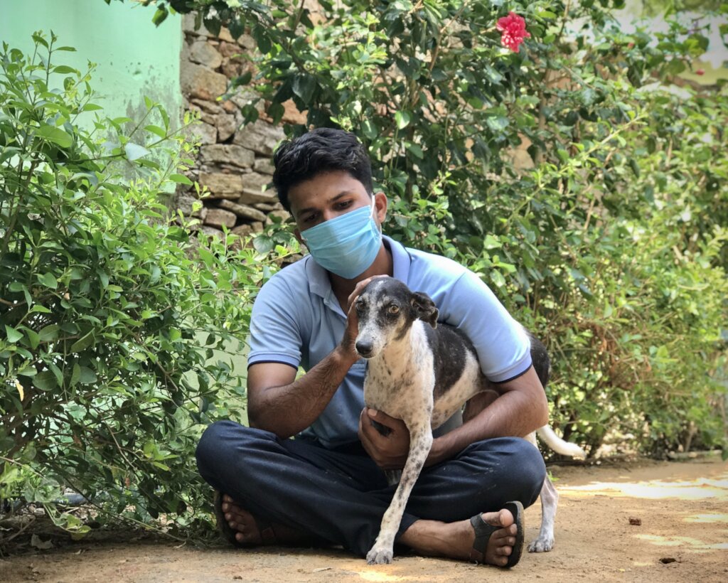 Help Bathe Poorly Mange Dogs Back to Health