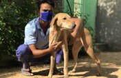 Help Bathe Poorly Mange Dogs Back to Health