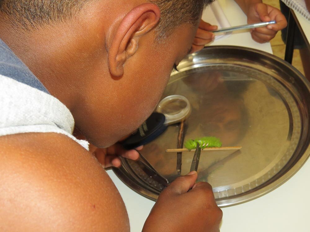 Young  EcoLeaders Protecting the Rainforest