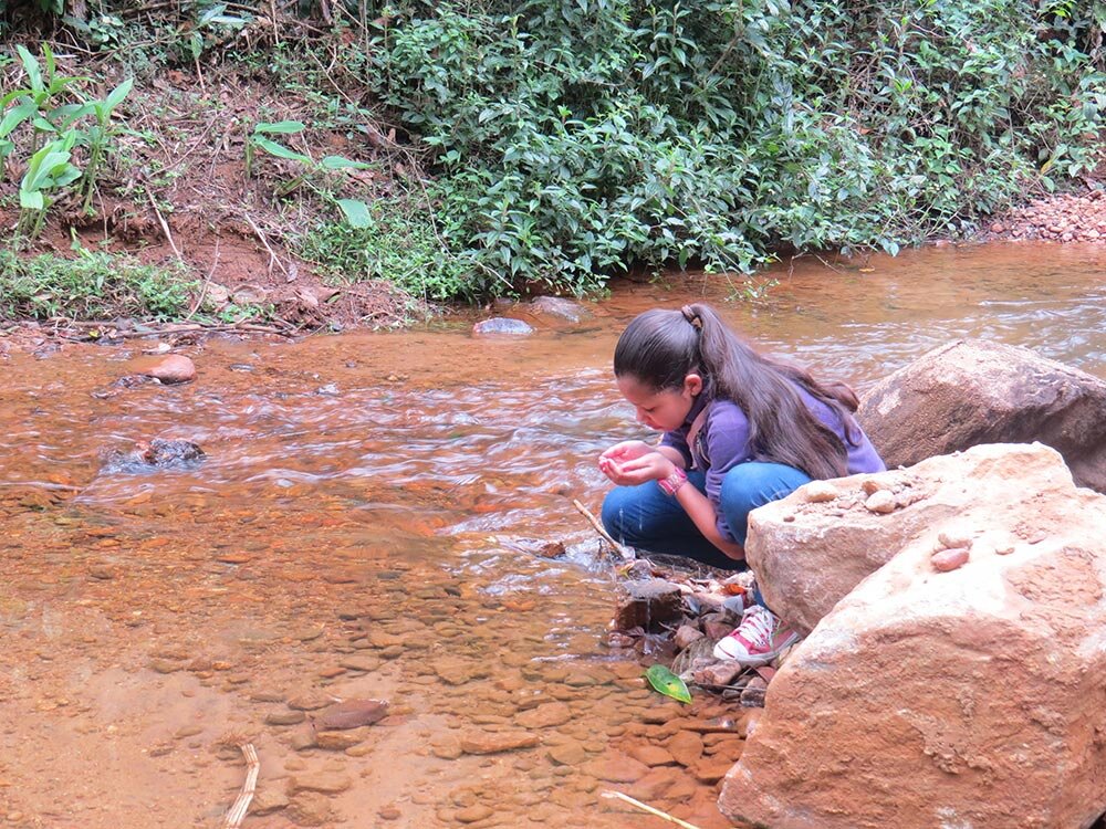 Young  EcoLeaders Protecting the Rainforest