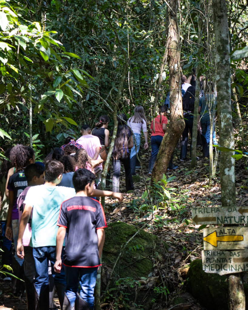 Young  EcoLeaders Protecting the Rainforest