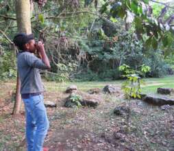 Forest Discoverer