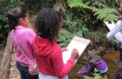 Young  EcoLeaders Protecting the Rainforest