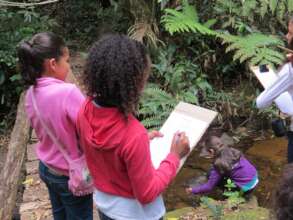Young  EcoLeaders Protecting the Rainforest