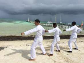 OA Karate demonstration