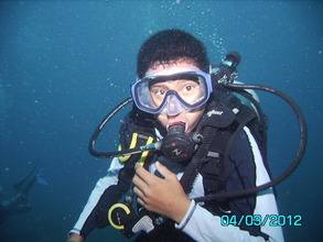Scuba Diving certification