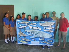 Marine biology class - sharks