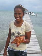 Cushion Seastar