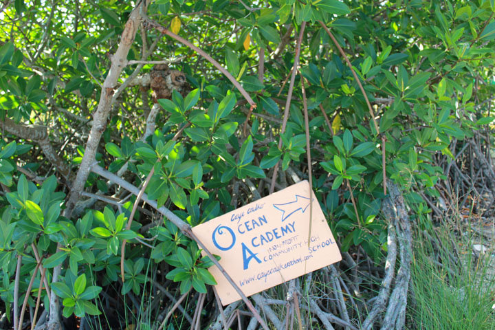 Send 100 Students to High School in Belize