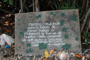 Sign for Protection of Mangroves
