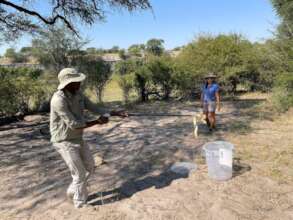 Camp staff safely removing a snake