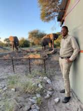 Wildlife Presence is a Way of Life
