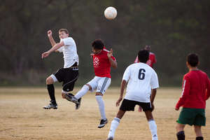 Action shot