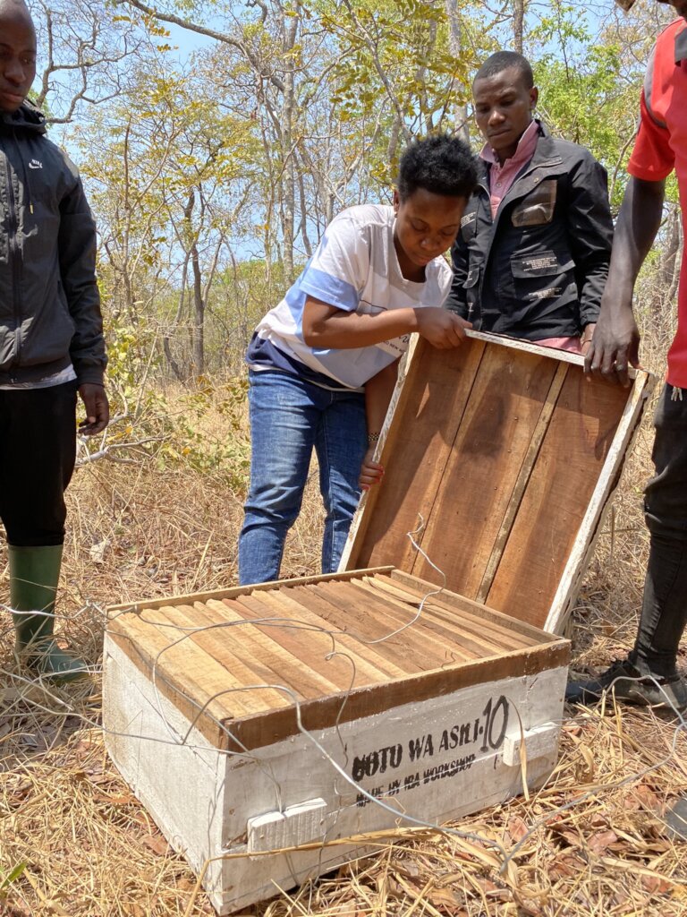 Support Youth to prevent environmental degradation