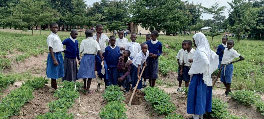 Support Youth to prevent environmental degradation