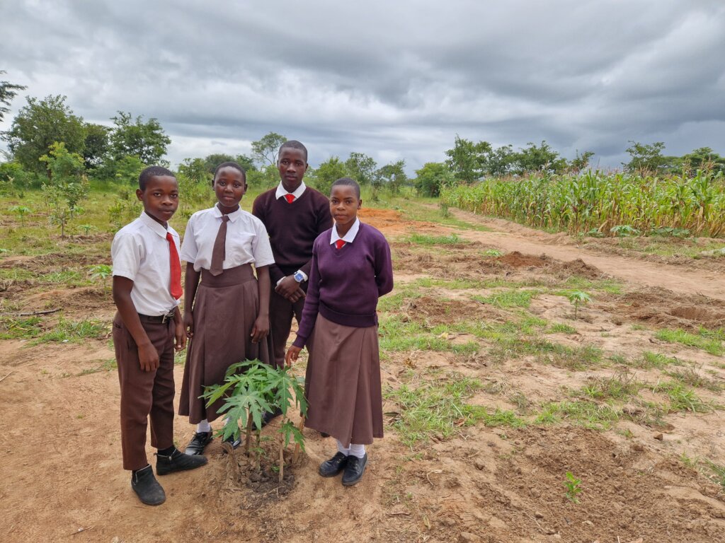 Support Youth to prevent environmental degradation