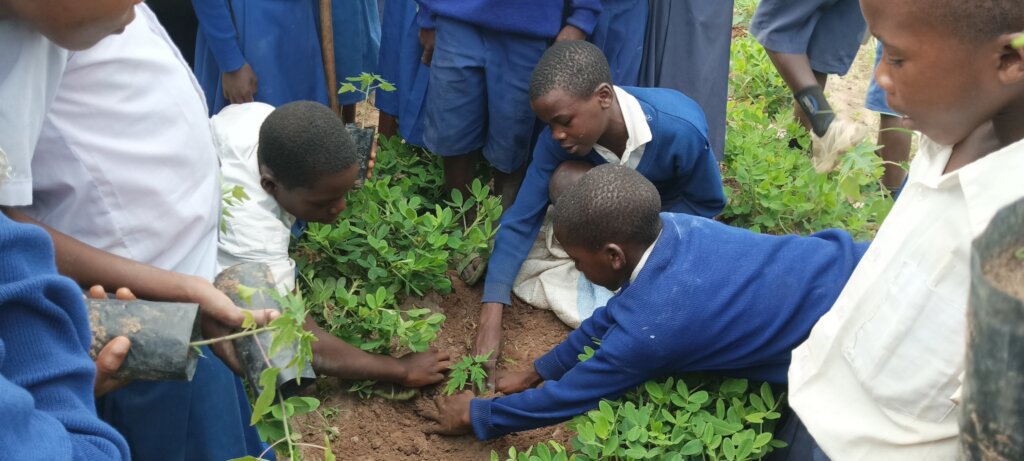 Support Youth to prevent environmental degradation