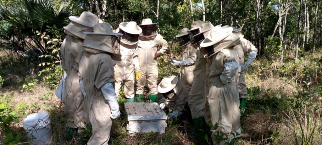 Support Youth to prevent environmental degradation