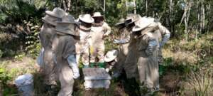 Support Youth to prevent environmental degradation