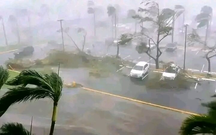 Emergency help to victims of Cyclone Jude