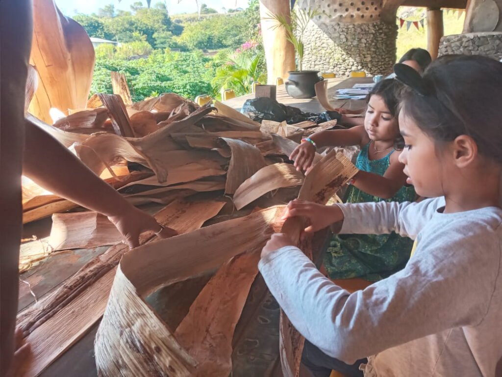 Empower Easter Island's future through Music & Art