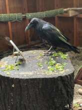 Edgar looks in the mirror.