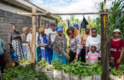 Boosting Food Security and Health for 7375 Kenyans