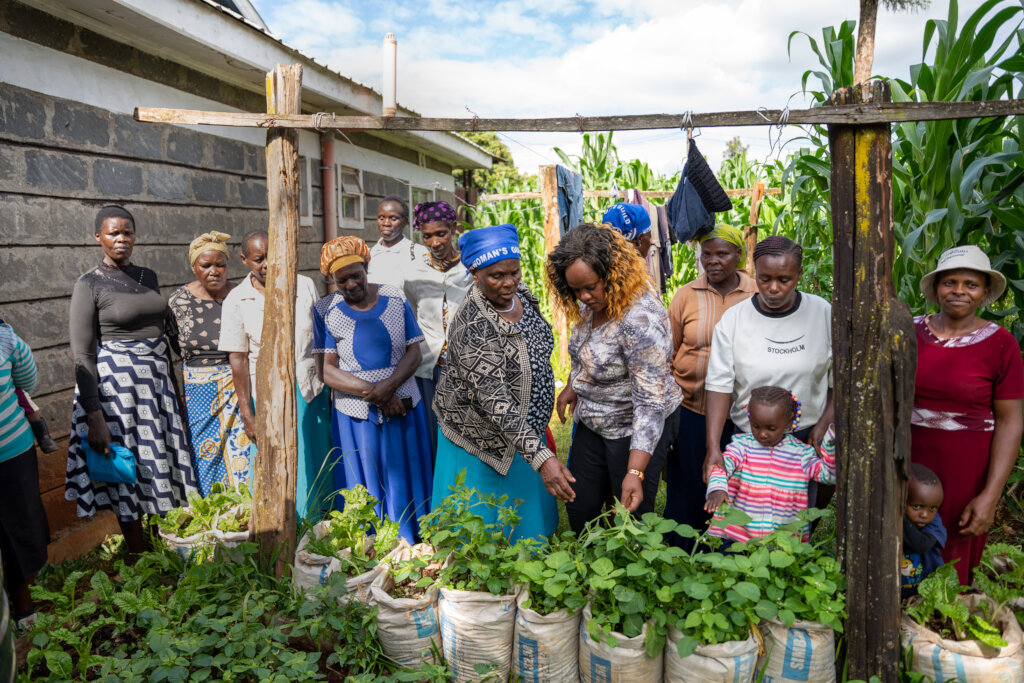 Boosting Food Security and Health for 7375 Kenyans