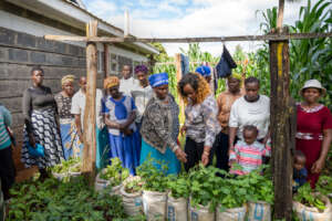 Boosting Food Security and Health for 7375 Kenyans