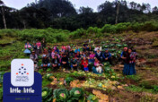 March Little By Little Match Campaign
