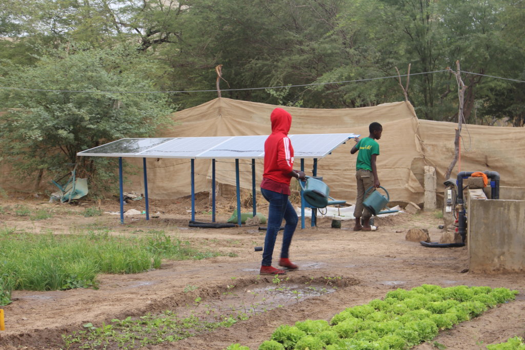 Support green agricultural incubator for 100 girls