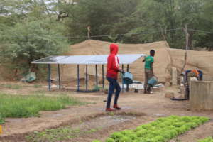 youth agricultural training incubation 2