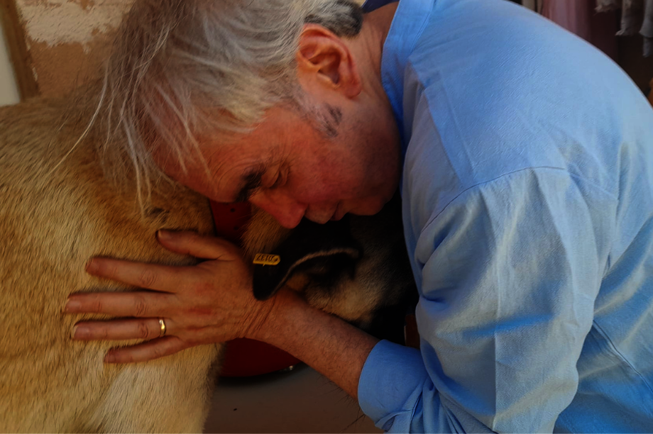 Saving The Stray Dogs Of Turkey From Culling